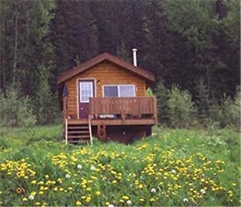 Bear Corner Adventures Bed & Bale Golden Bagian luar foto