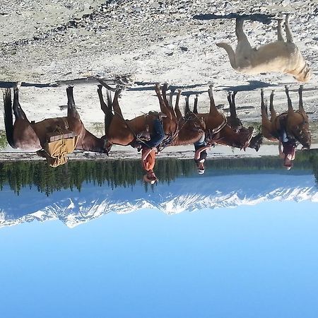 Bear Corner Adventures Bed & Bale Golden Bagian luar foto