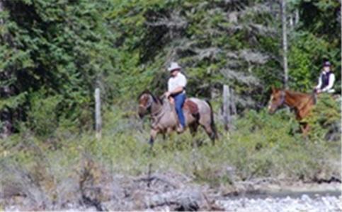 Bear Corner Adventures Bed & Bale Golden Bagian luar foto