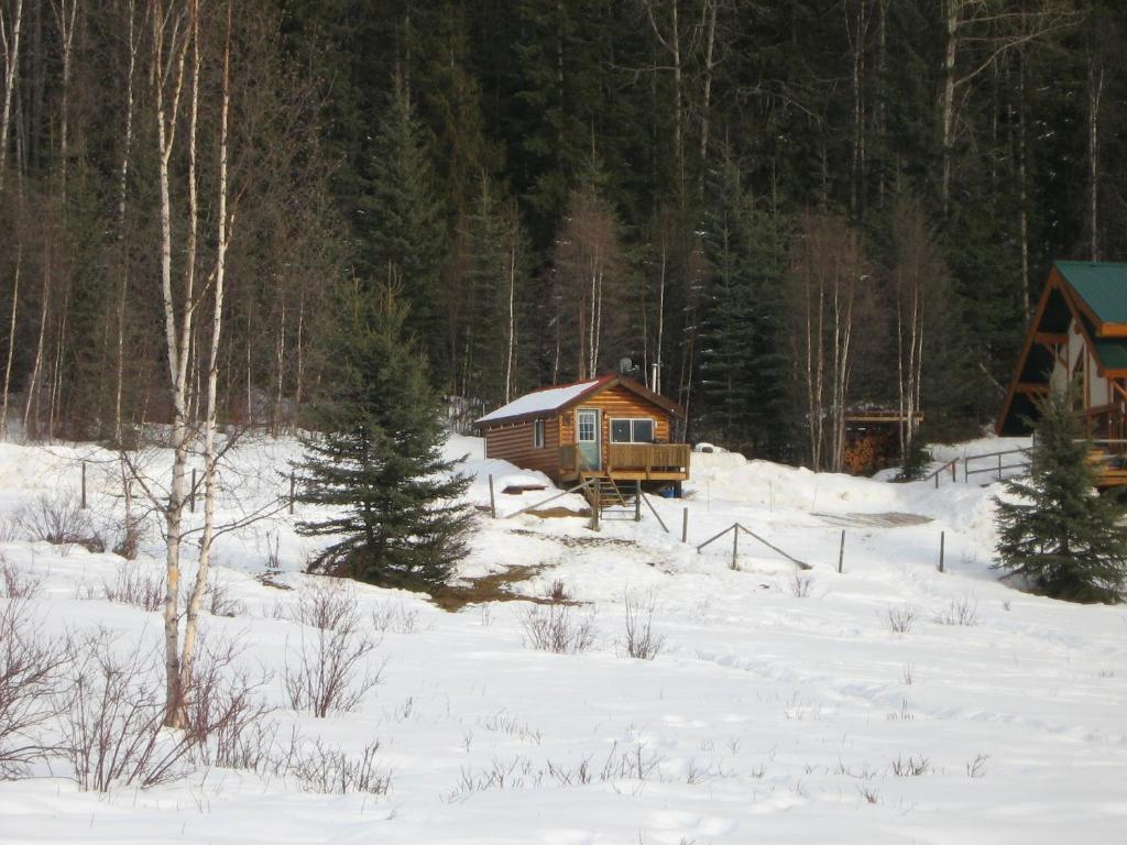 Bear Corner Adventures Bed & Bale Golden Bagian luar foto