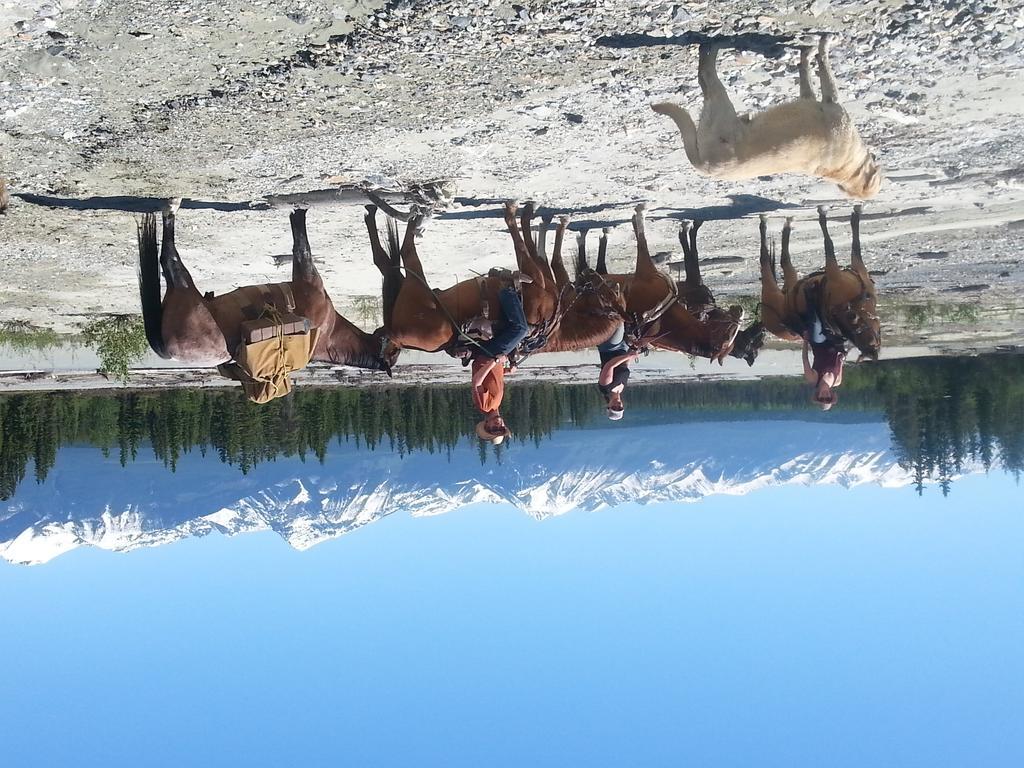 Bear Corner Adventures Bed & Bale Golden Bagian luar foto